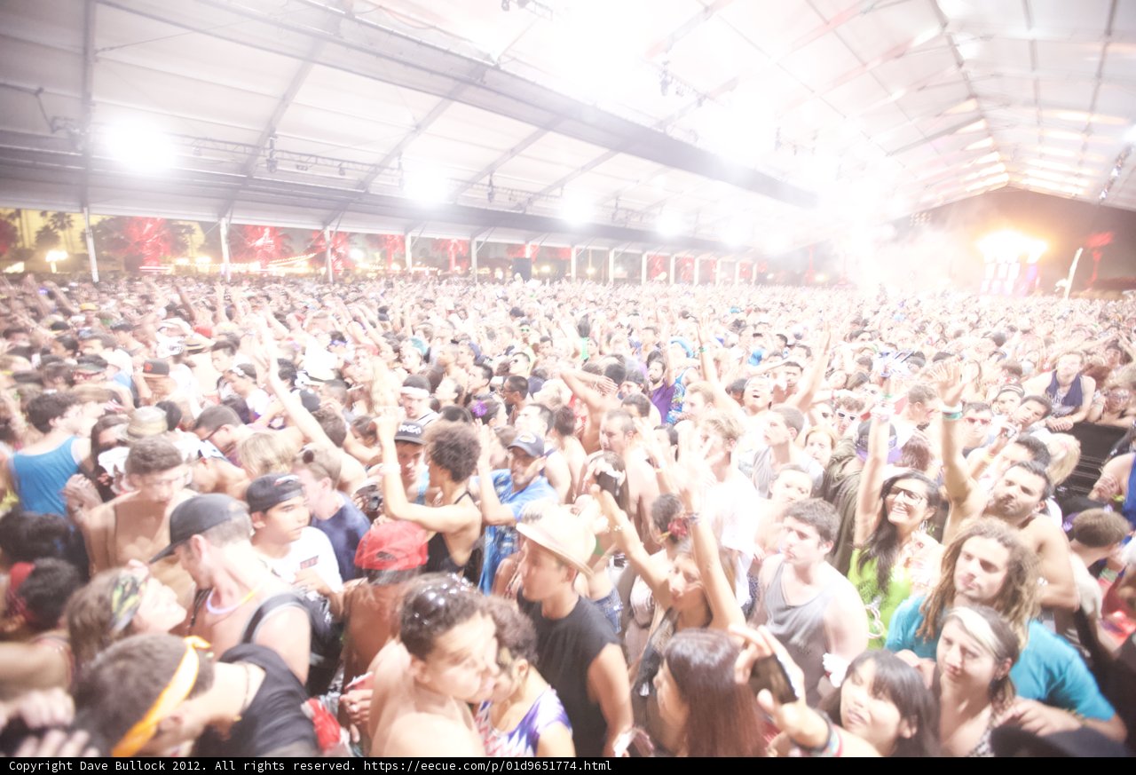 Electric Night at Coachella Music Festival