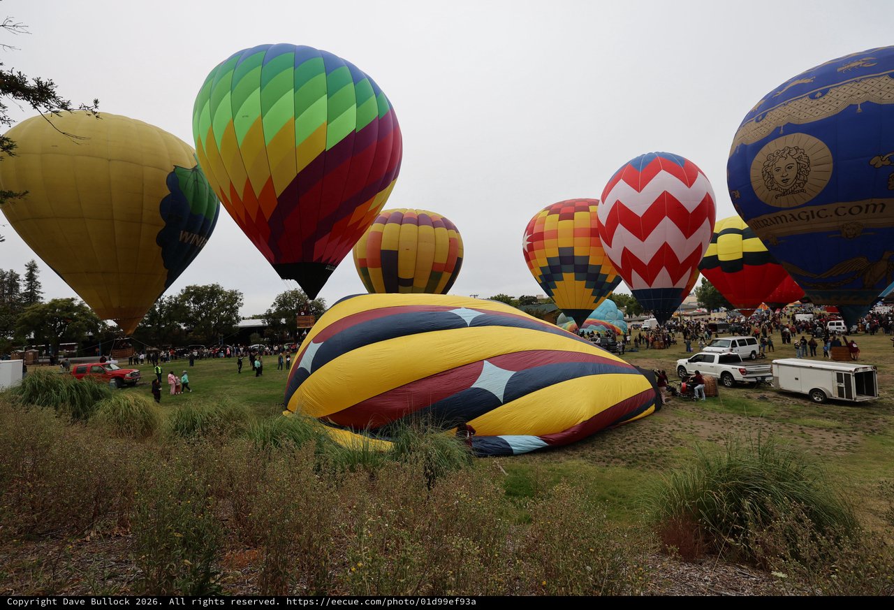 Colorful Hot Air Balloons Launch at Sonoma Classic