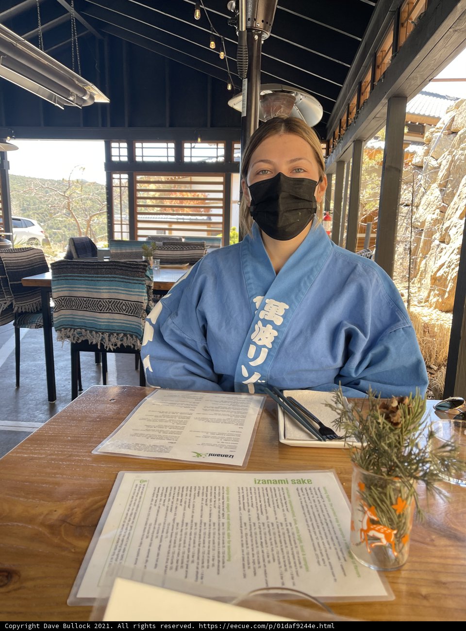 Masked Woman in a Cozy Santa Fe Restaurant