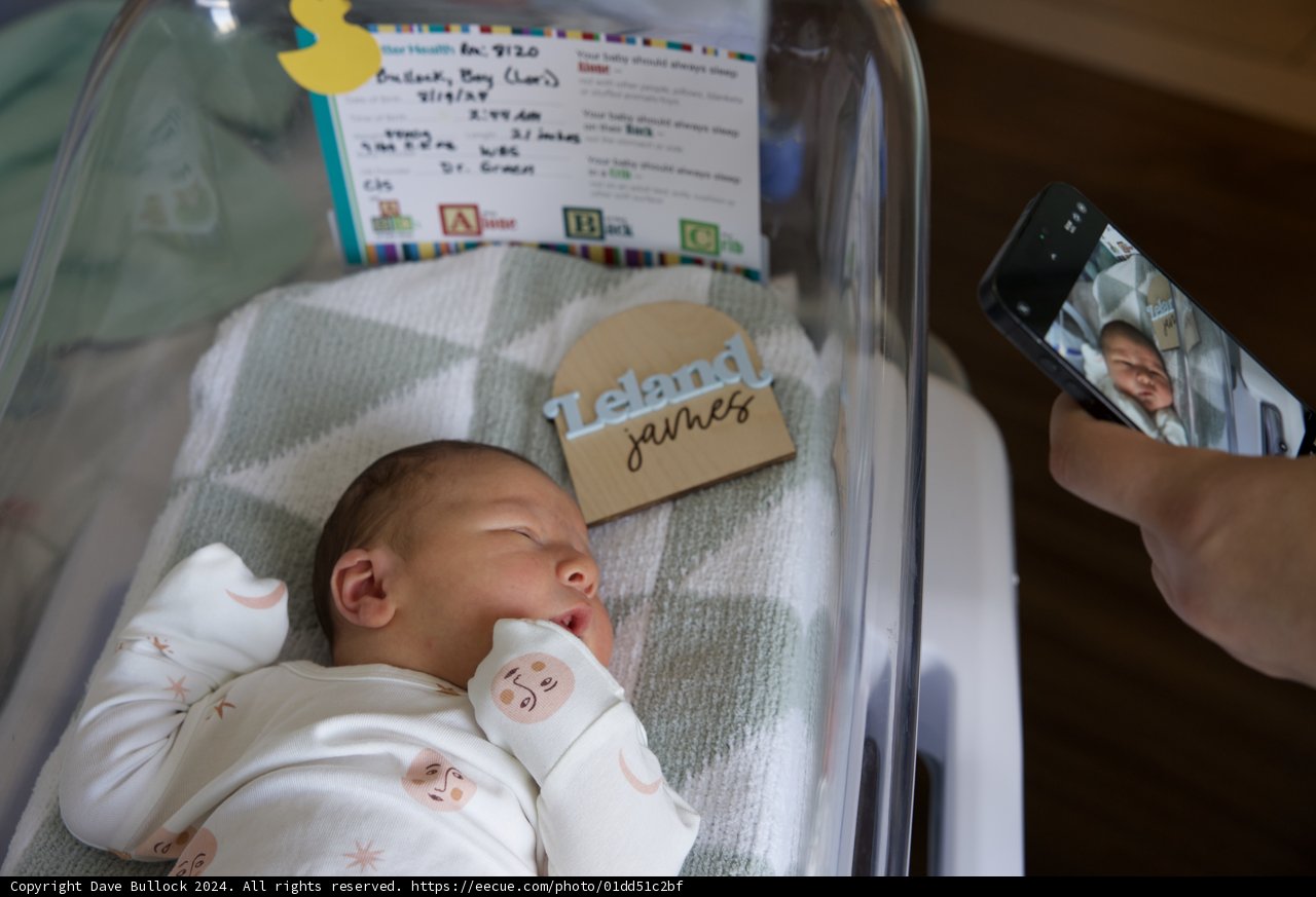 Welcome to the World, Leland