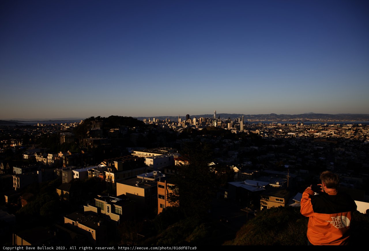 Capturing the Urban Jungle