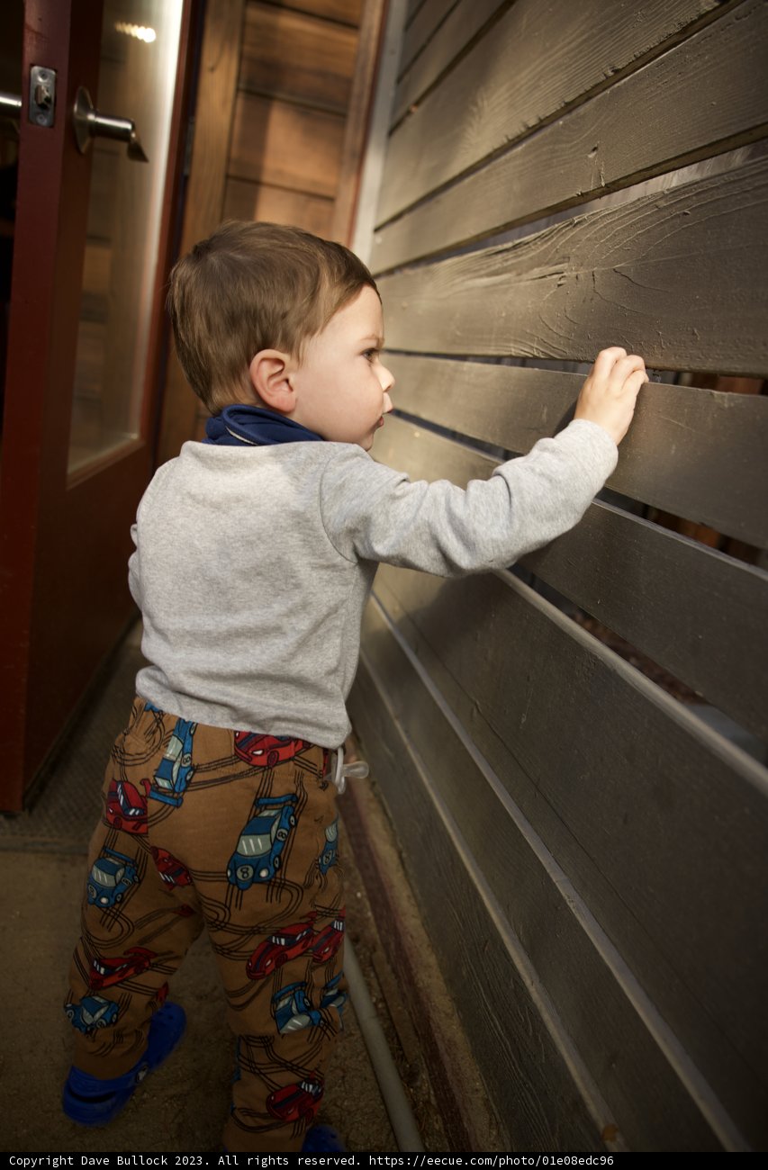 Adventures on the Hardwood: Wesley’s Exploration