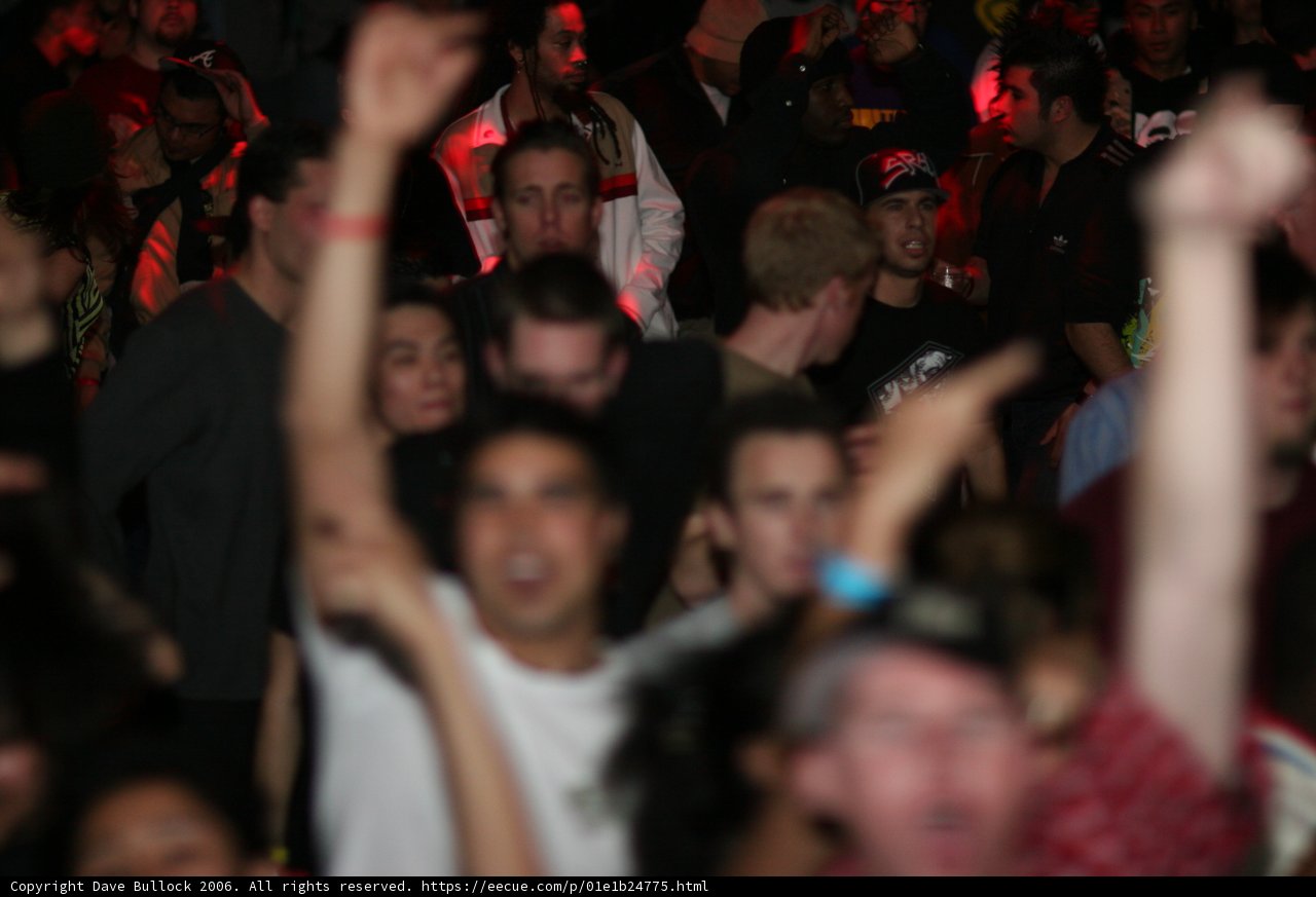 Crowd goes wild at Bass Rush concert