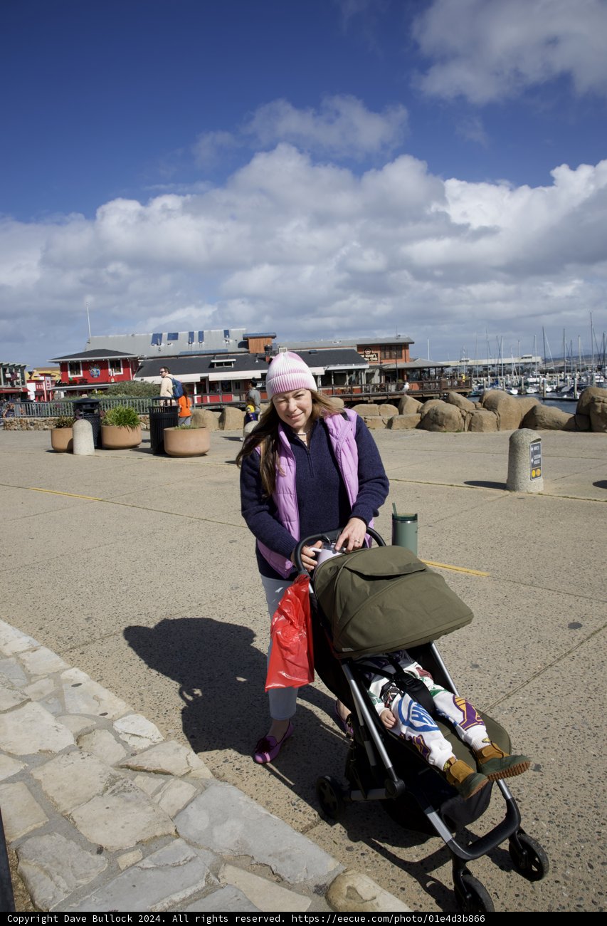 A Stroll in Monterey: Lori's Adventure