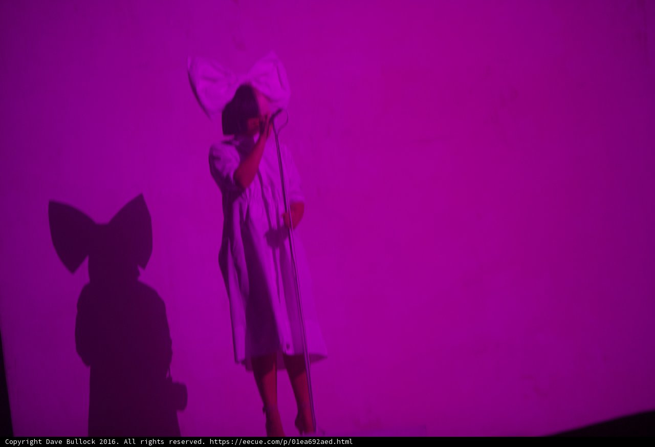 Purple Haze