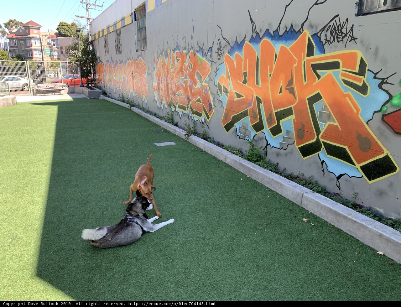Playtime in SoMa West