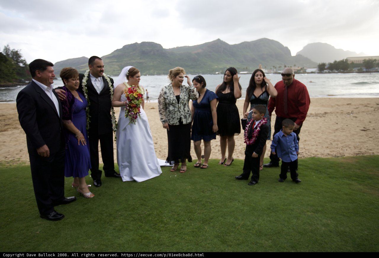 Wedding party on the grassy hill