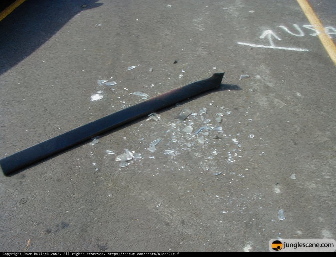 Abandoned on the Tar