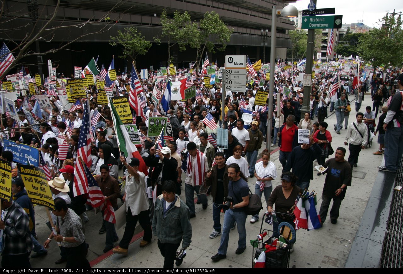 Massive Student Protest with Flags