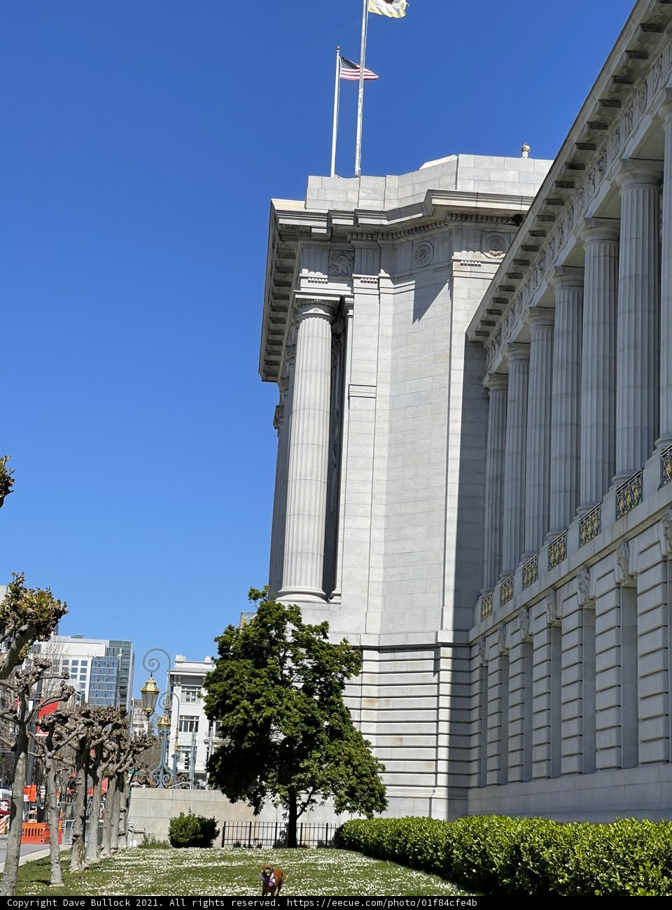 City Hall Majesty