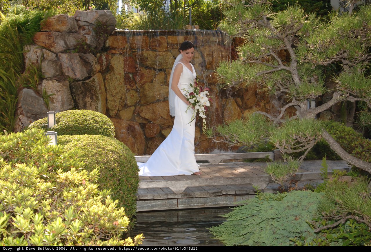 Bride Poses Elegantly Before Garden Waterfall