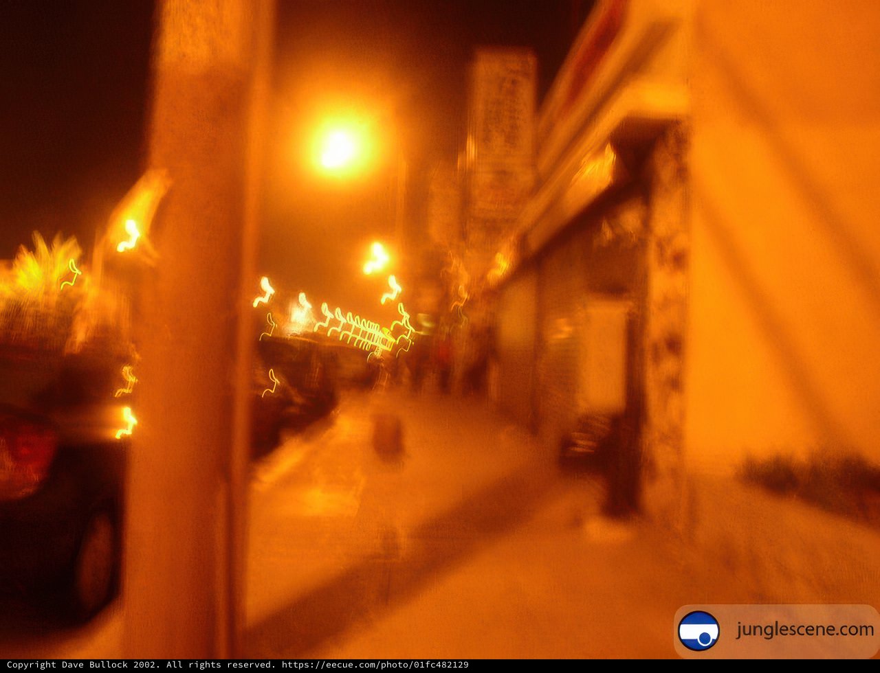Nighttime Pathway