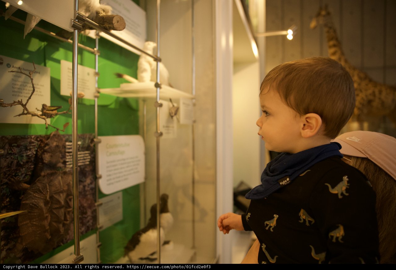 Wesley's Exploration at the Animal Exhibit