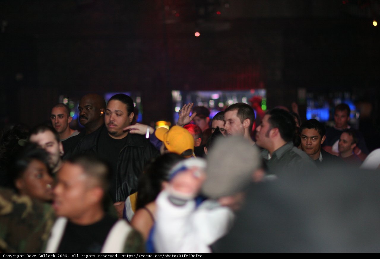 Nightlife in the Urban Jungle