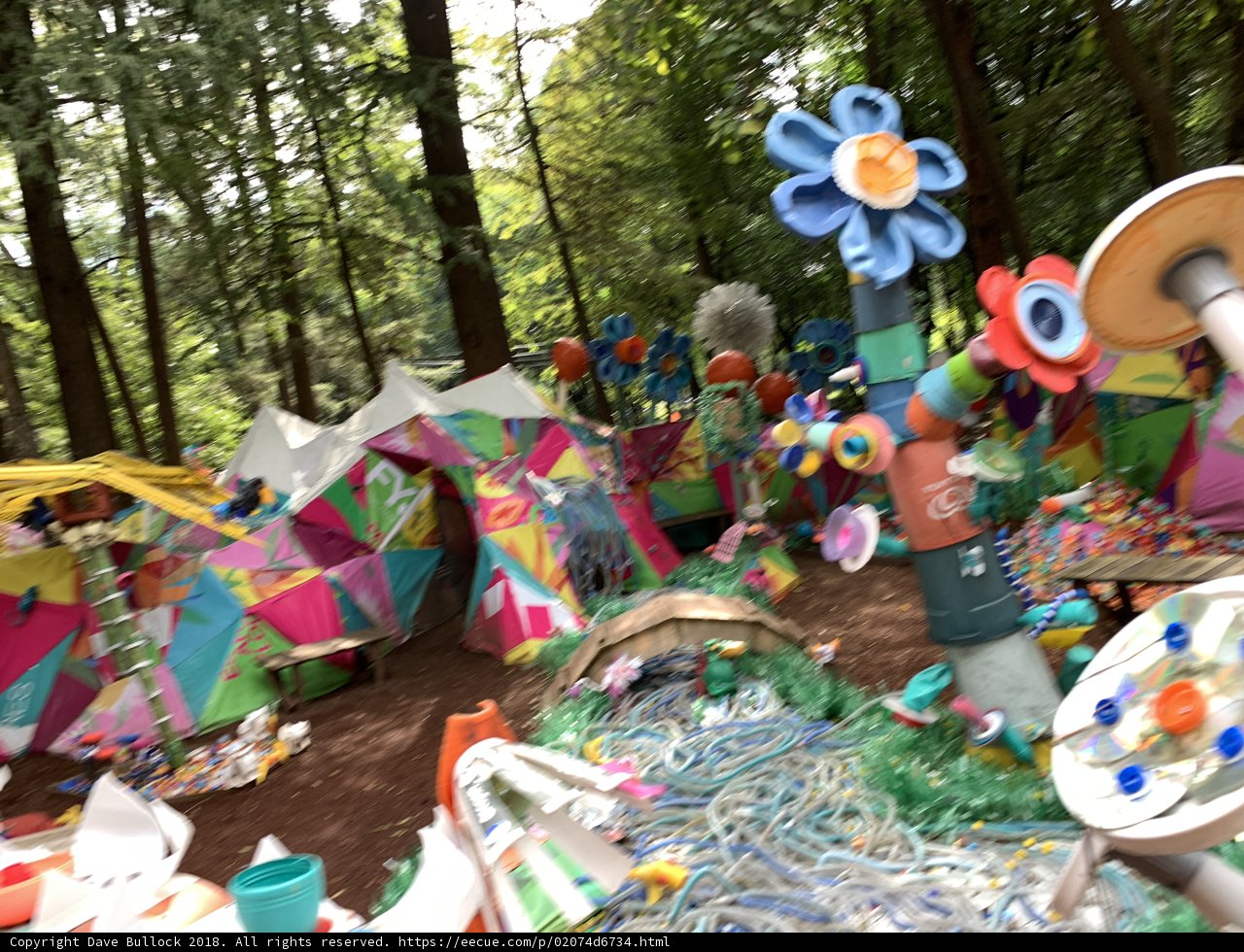 Colorful Tent in the Woods