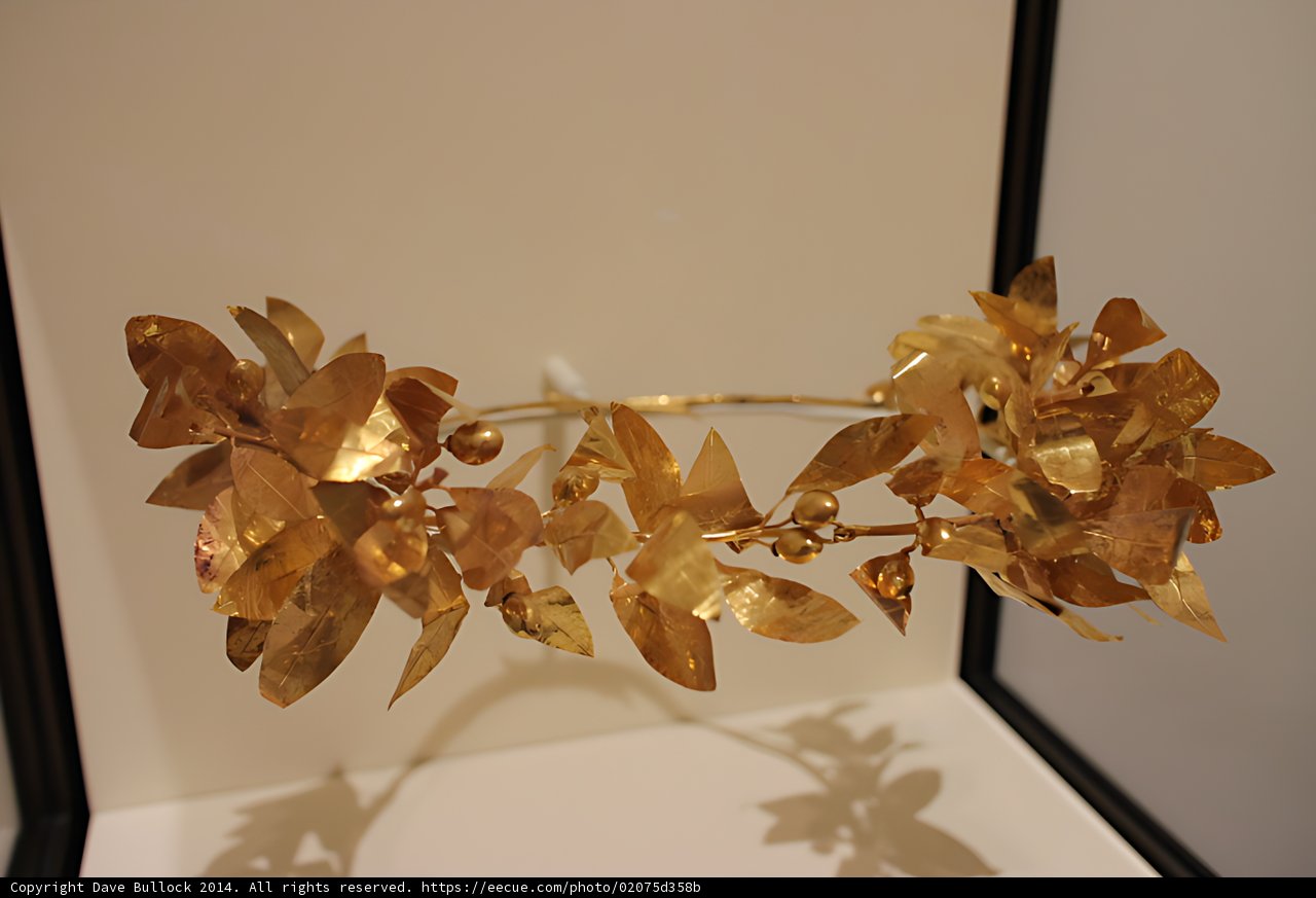 Golden Floral Headpiece