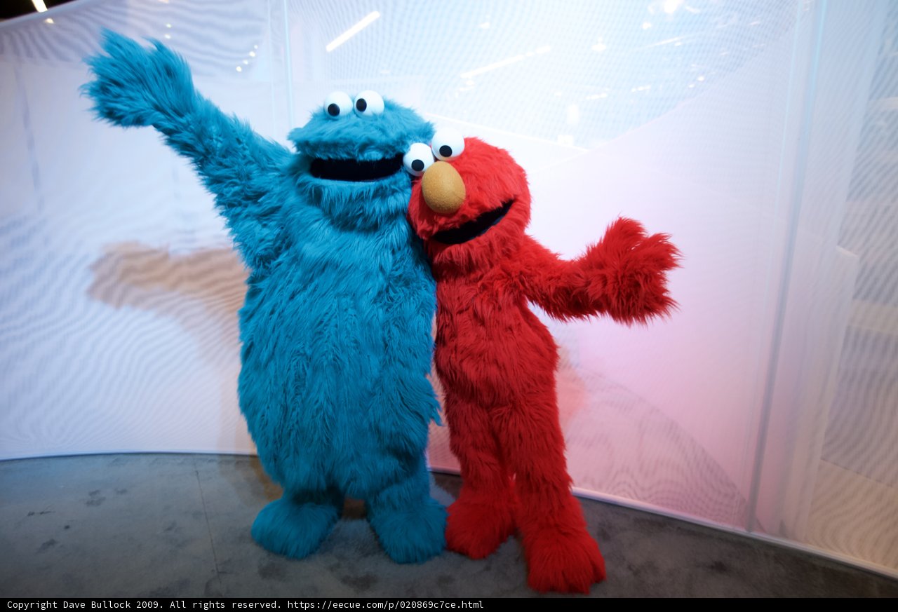 Sesame Street Stars Strike a Pose