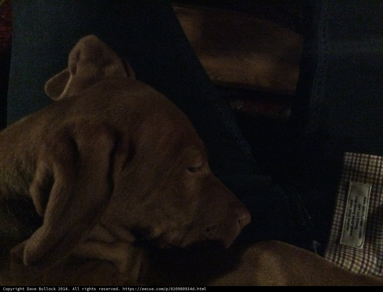 Lap Buddy