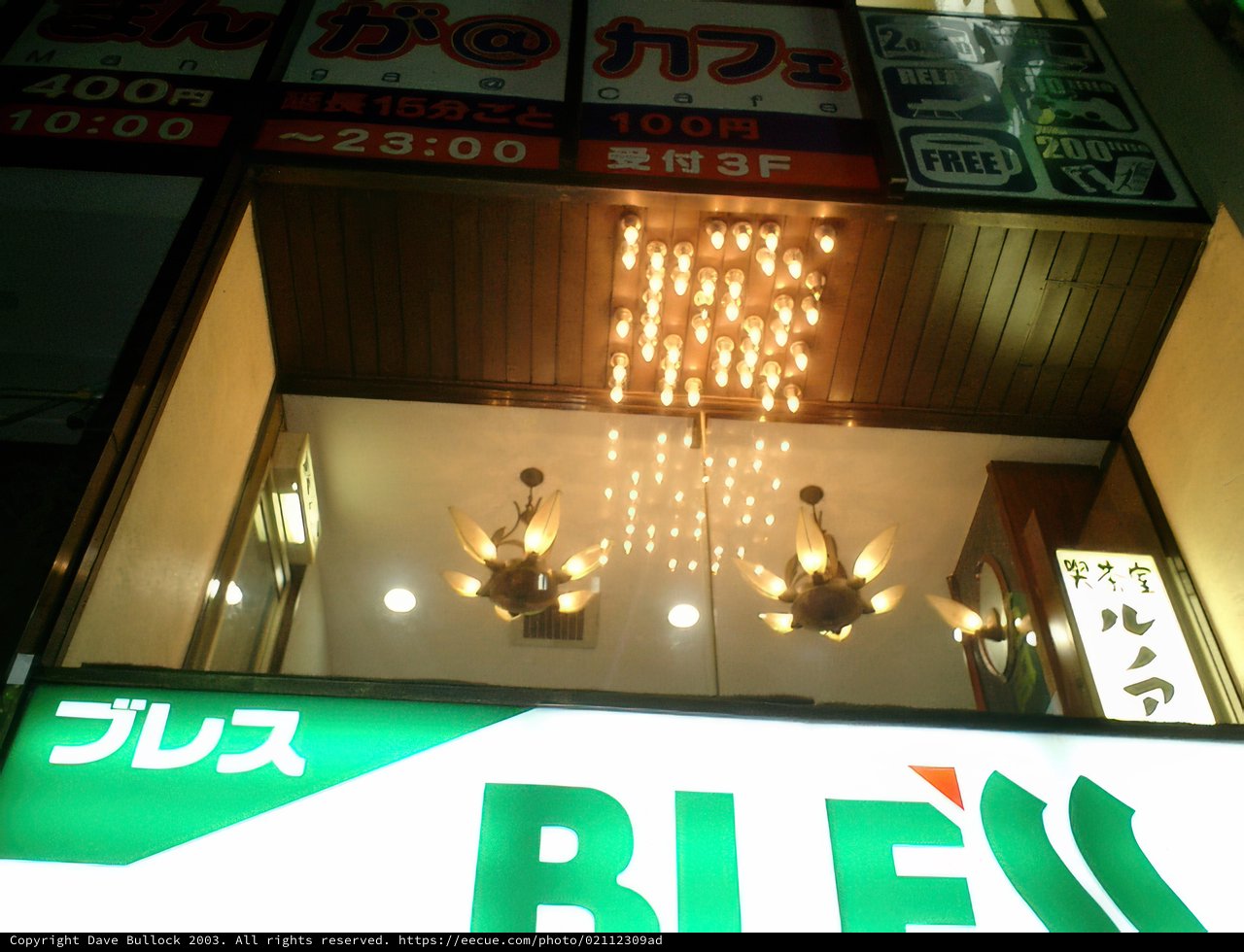 Glowing Beauty Adorned in Akihabara