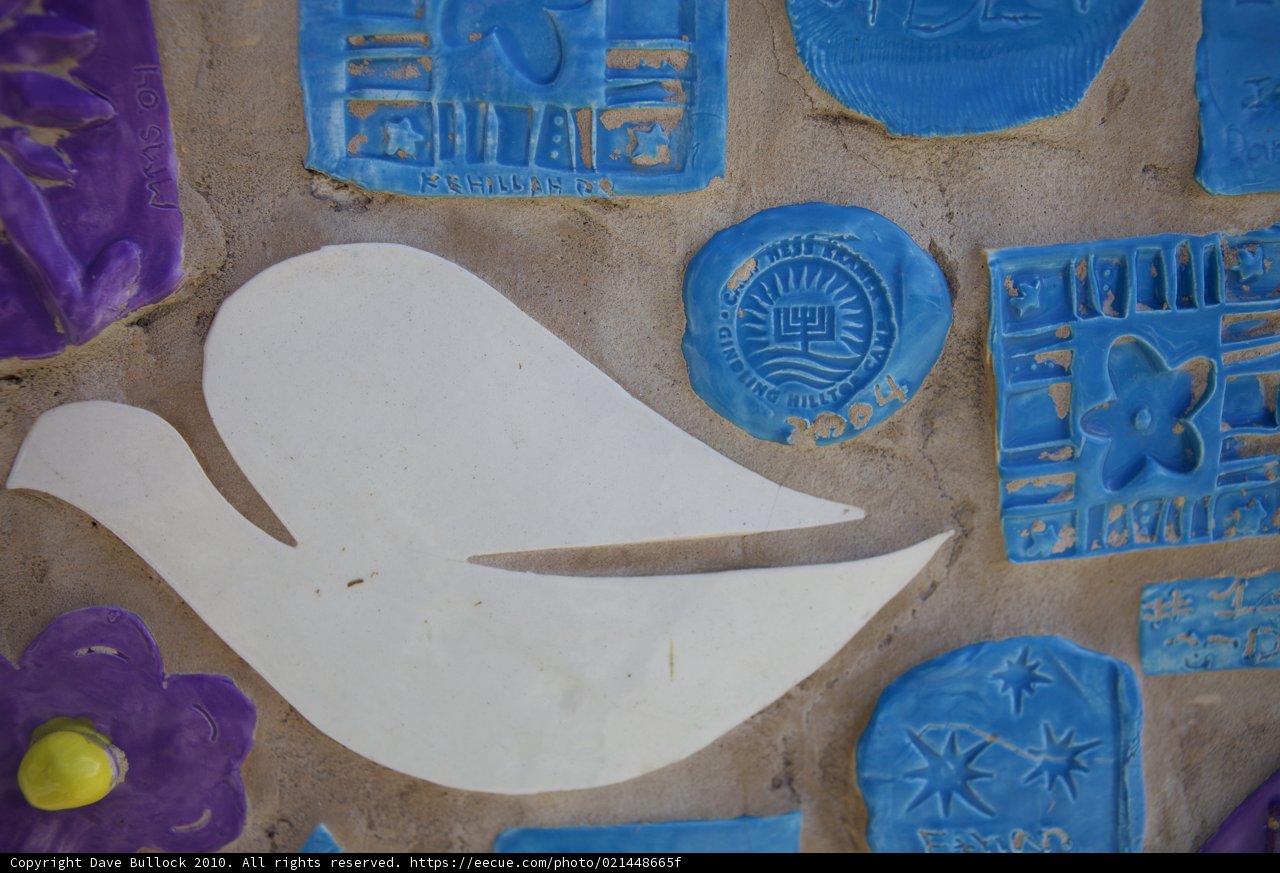 White Dove on Walkway Wall