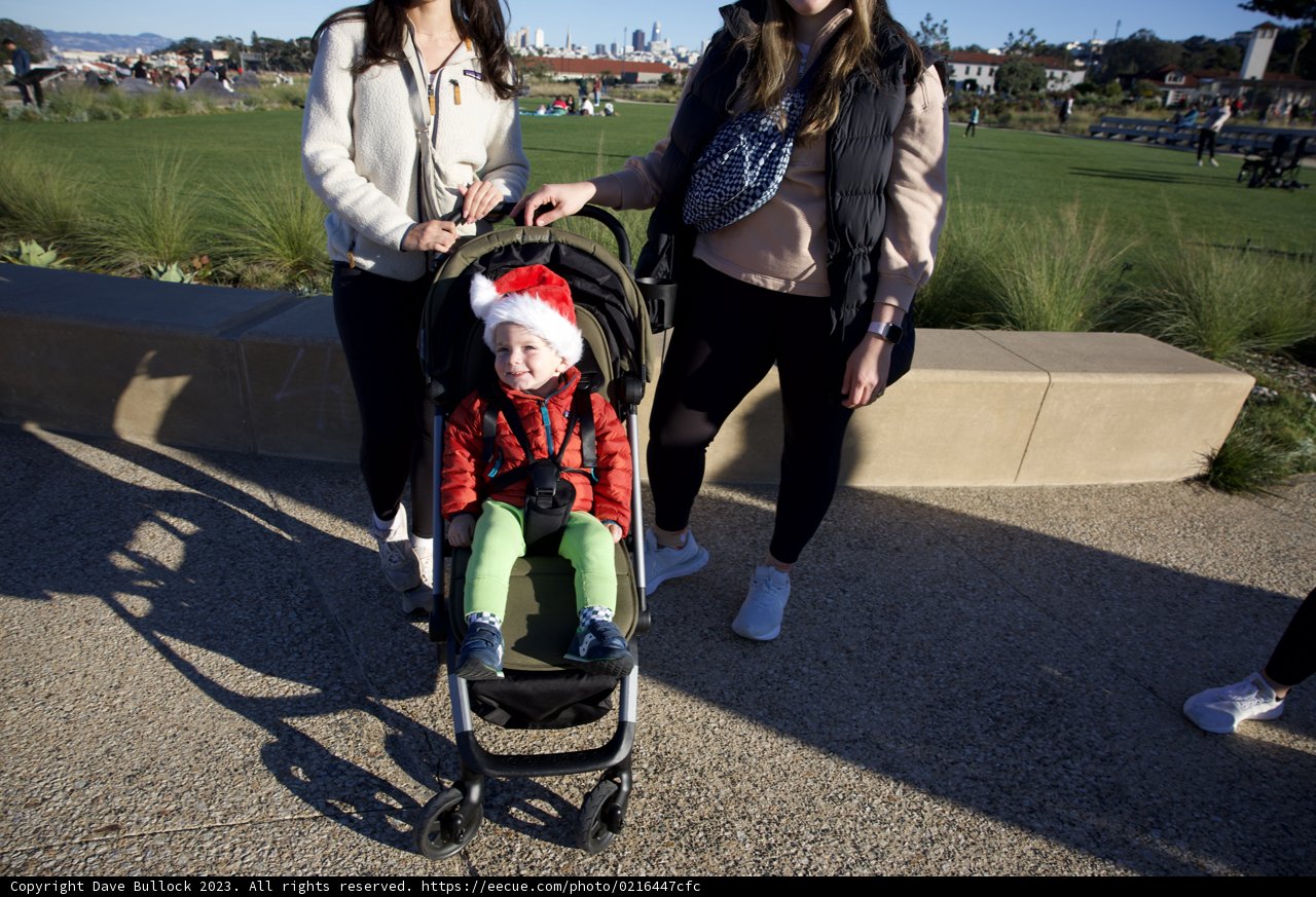 Family Stroll in the Park