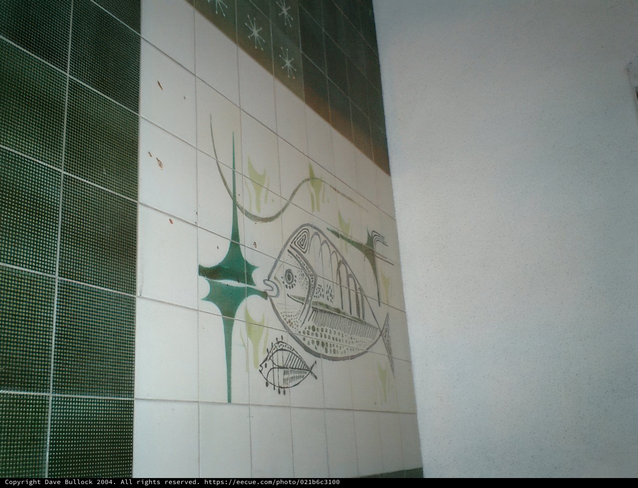 The Fish Mural in Marcus' Bathroom