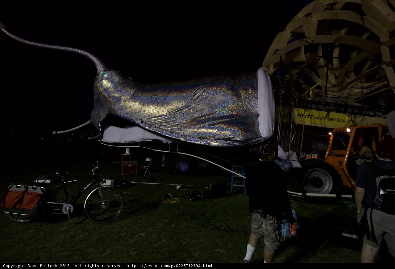High Flying Fish Kite at Coachella