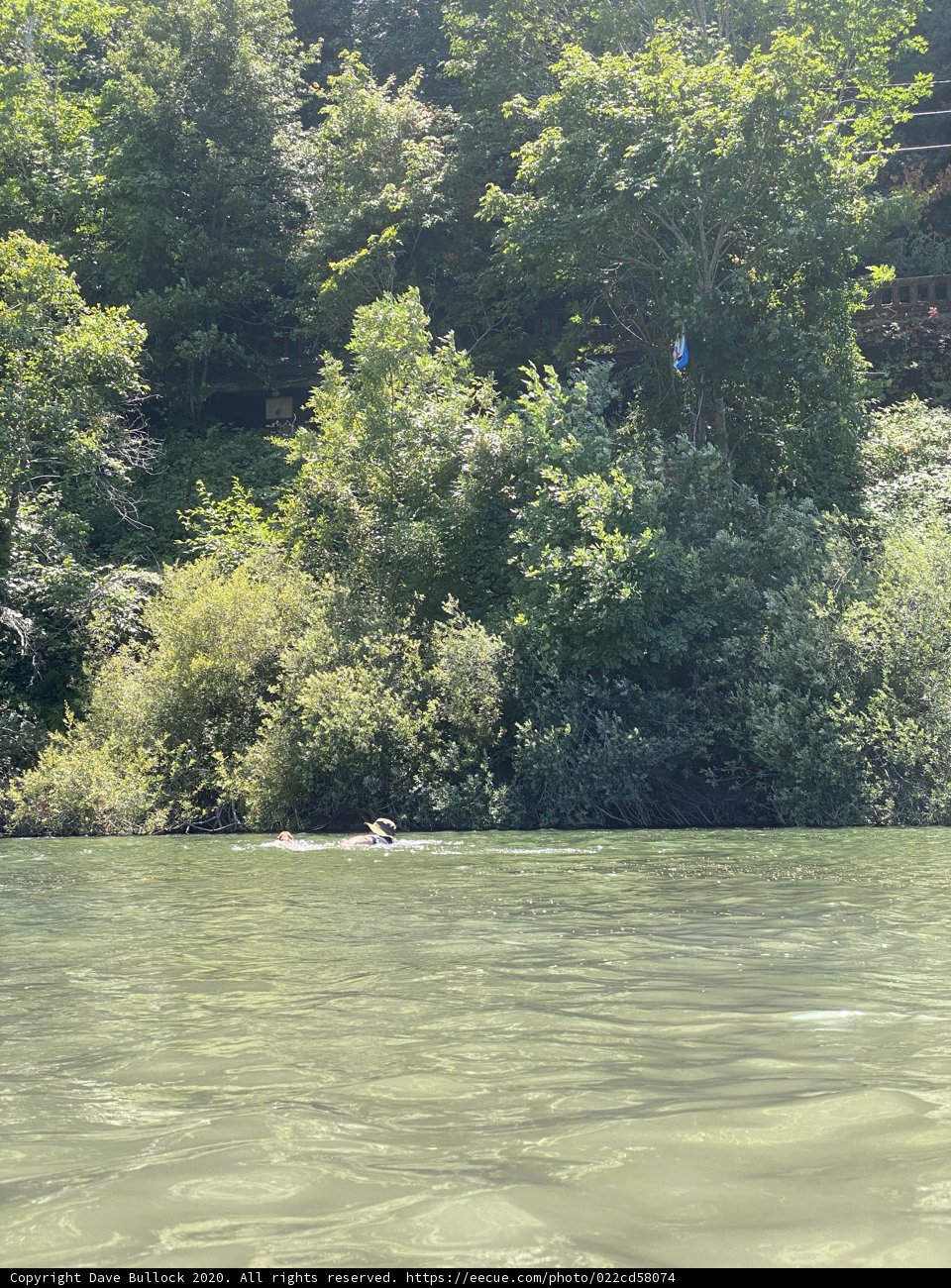 Floating in Nature's Embrace