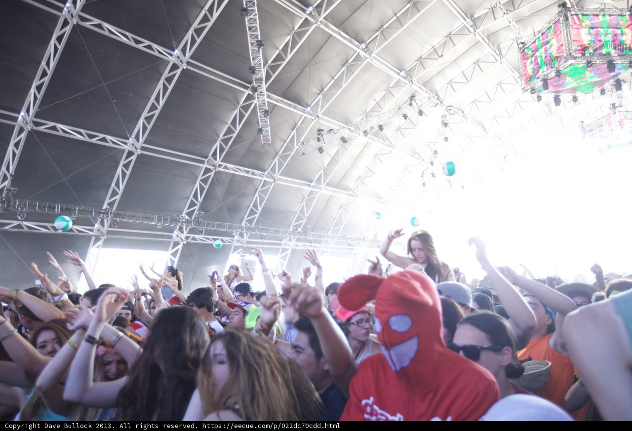 Coachella Music Festival Crowd Goes Wild