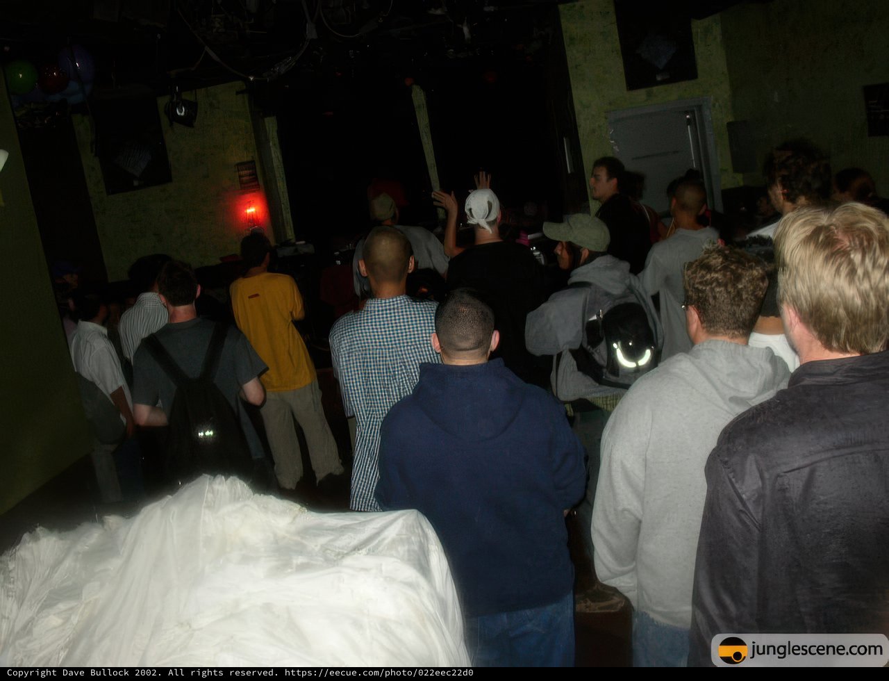 Nightclub Gathering