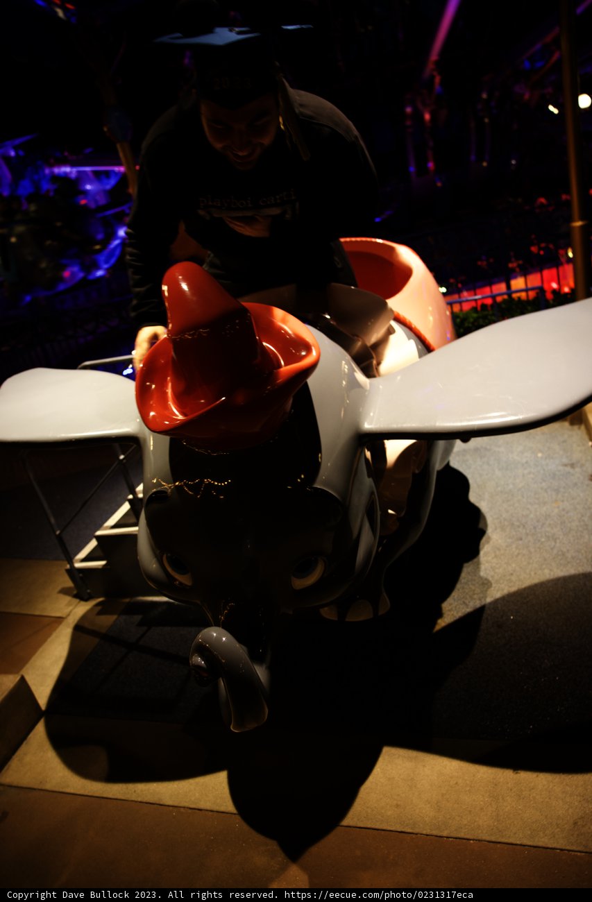 Soaring High in a Toy Plane Adventure