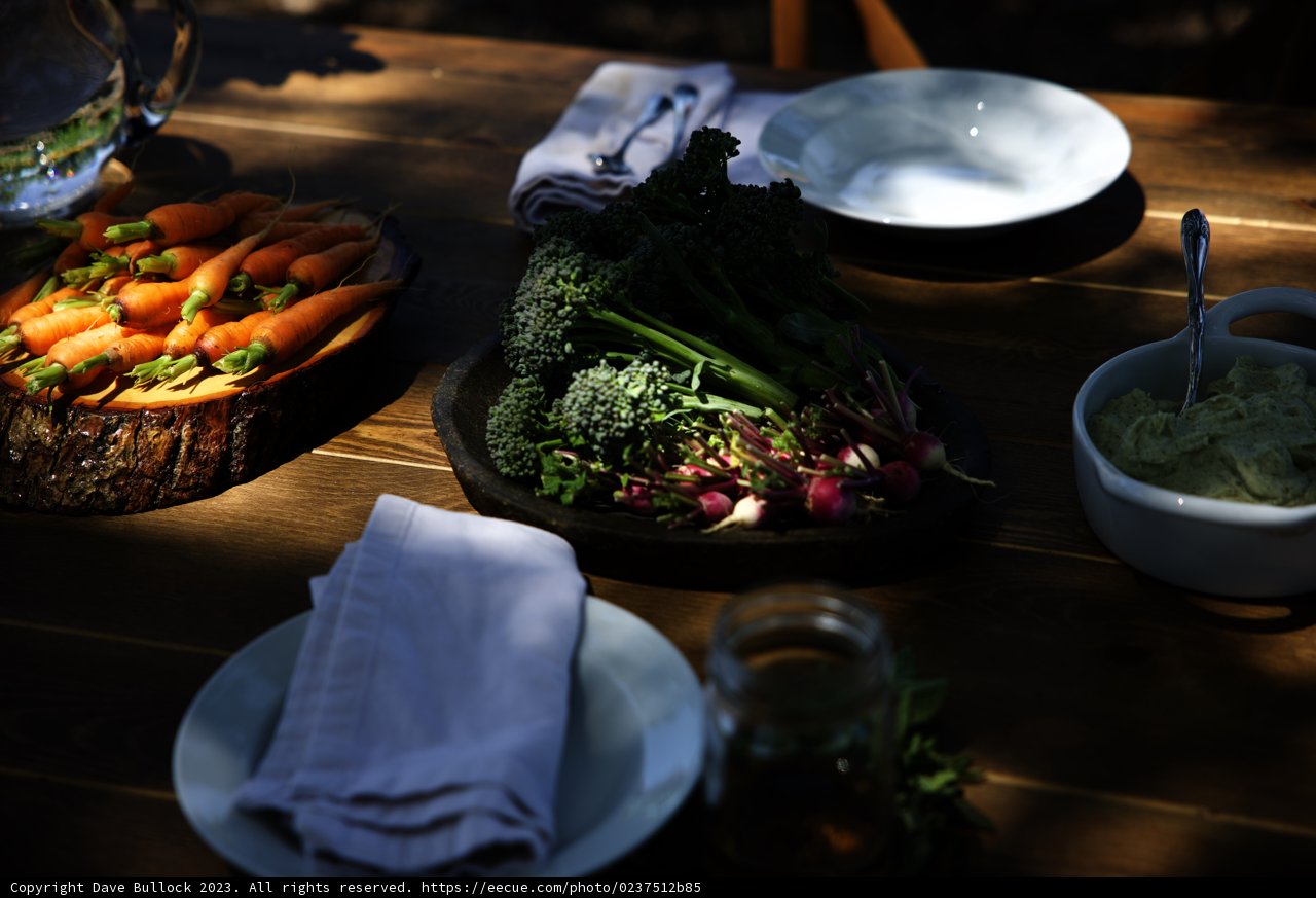 Bountiful Harvest from Regenerative Agriculture Class