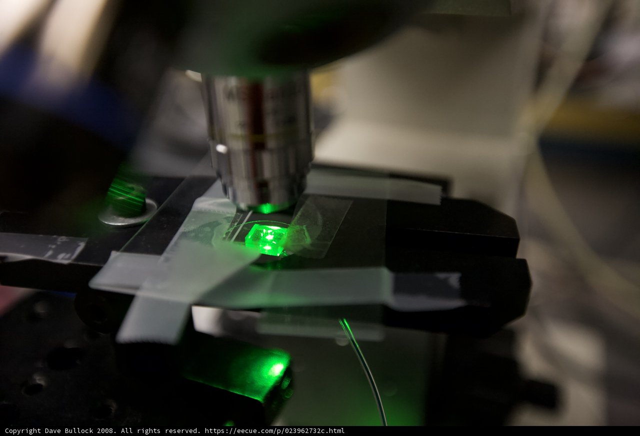 Illuminating Discoveries