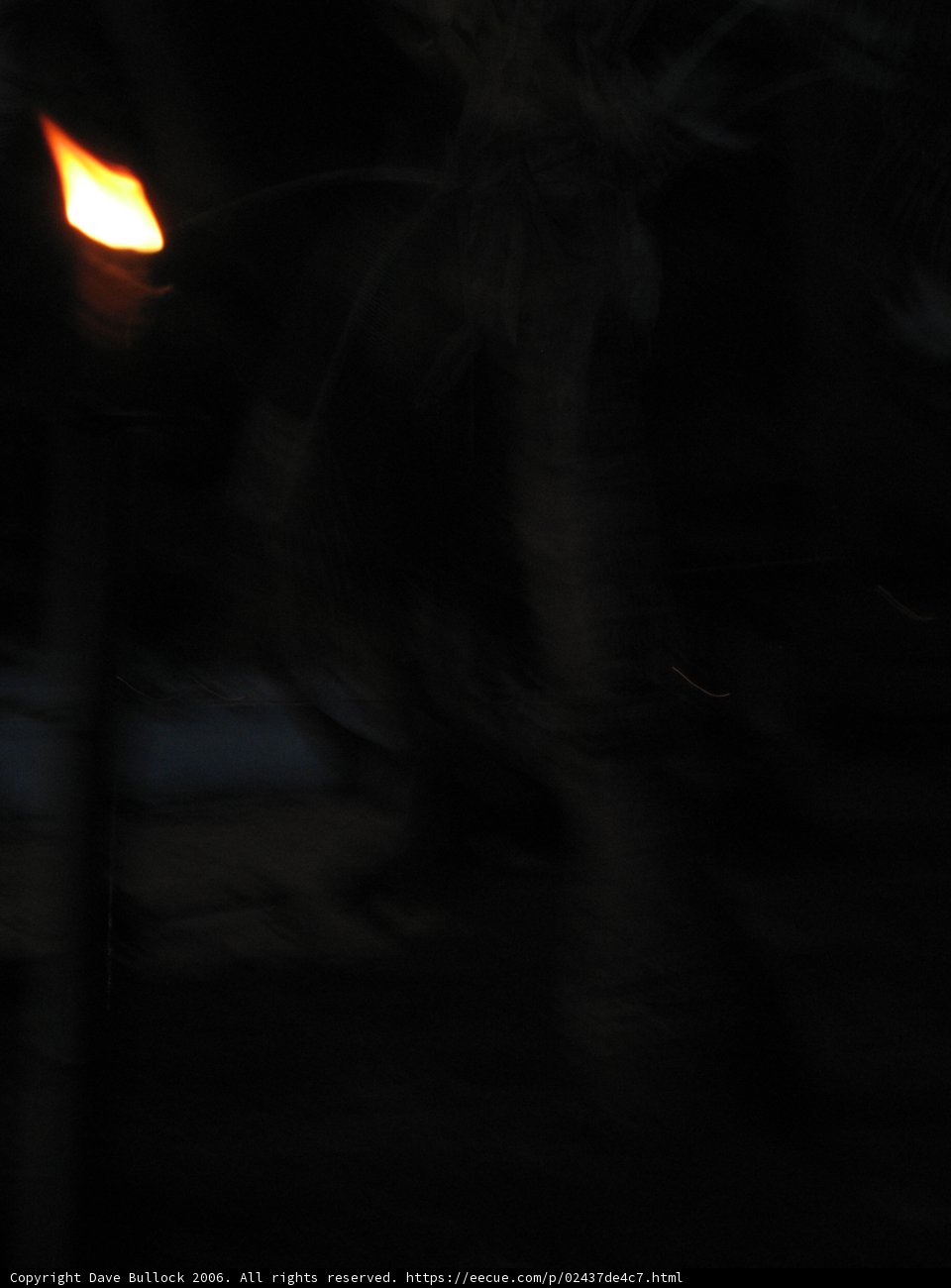 Illuminated Night