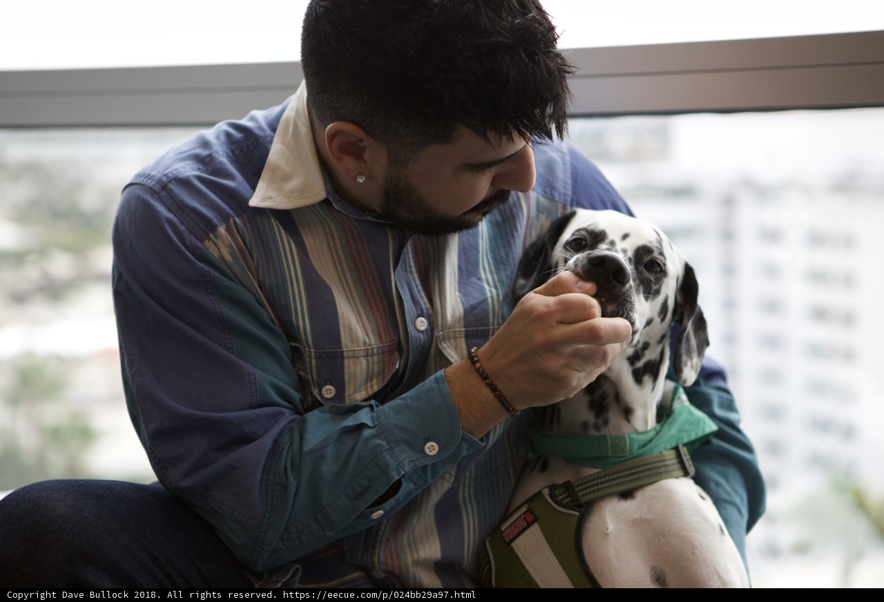 Man and his loyal dalmatian