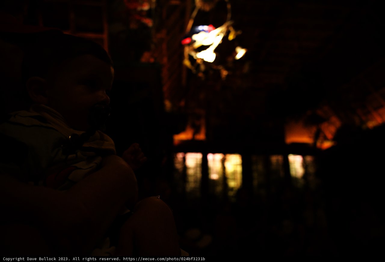 Magical Moments at Disneyland 2023