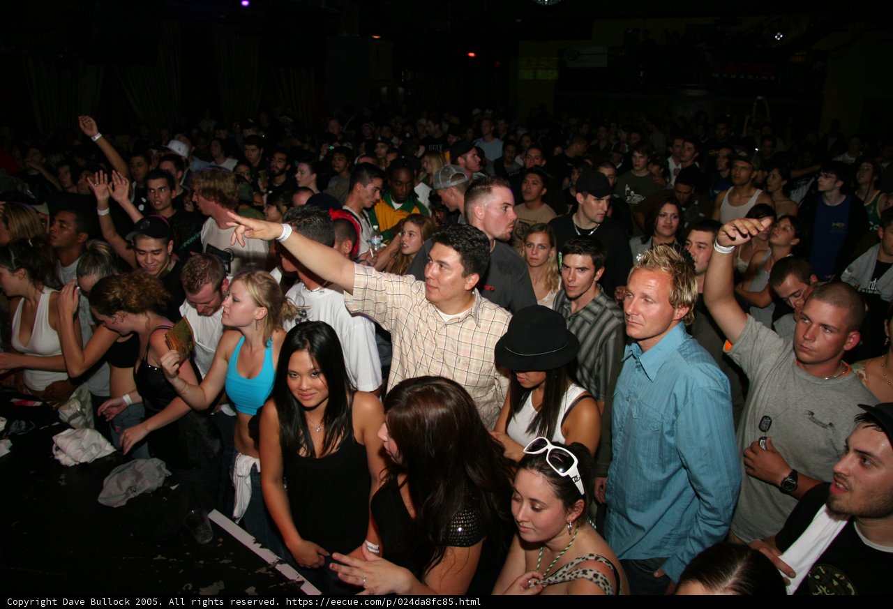 Concert Crowd