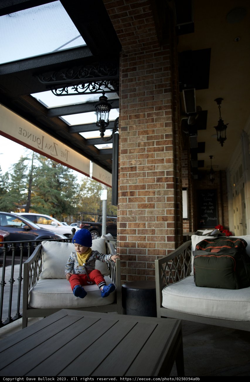 Benching with my Furry Buddy in Downtown Sonoma