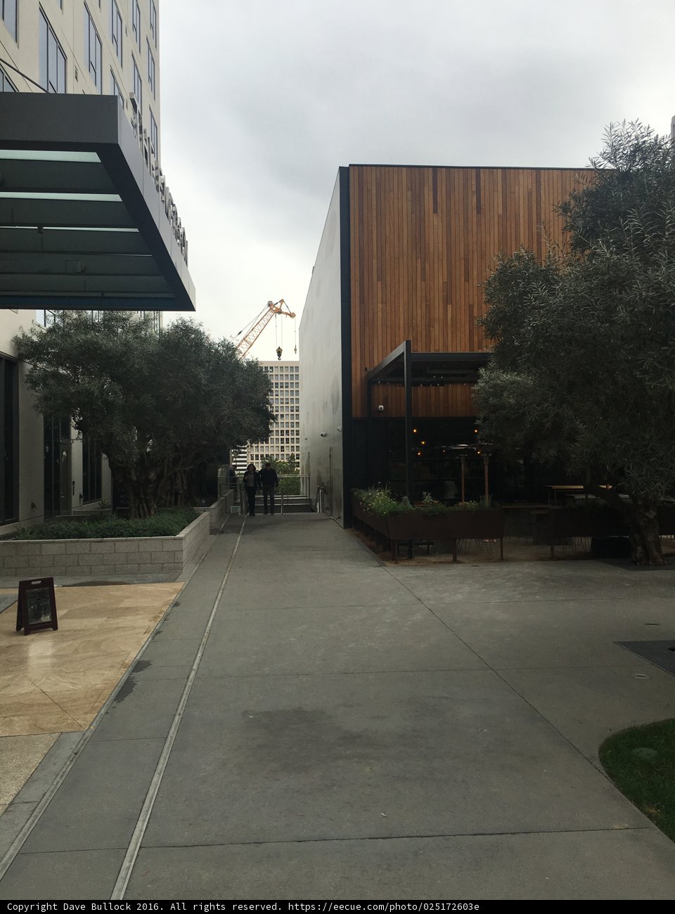 Wooden Wall and a Tree in Urban Los Angeles
