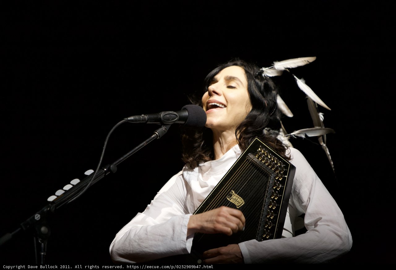 Feathered Songstress Takes the Stage
