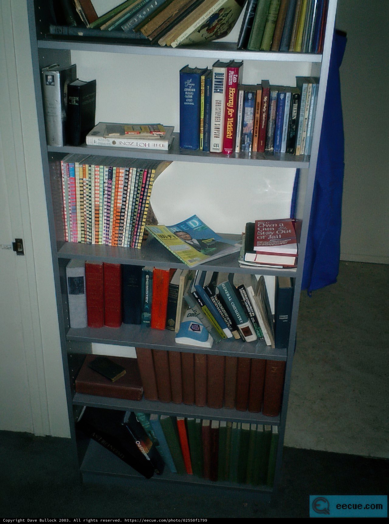 The Bookcase Filled with Publications and Novels