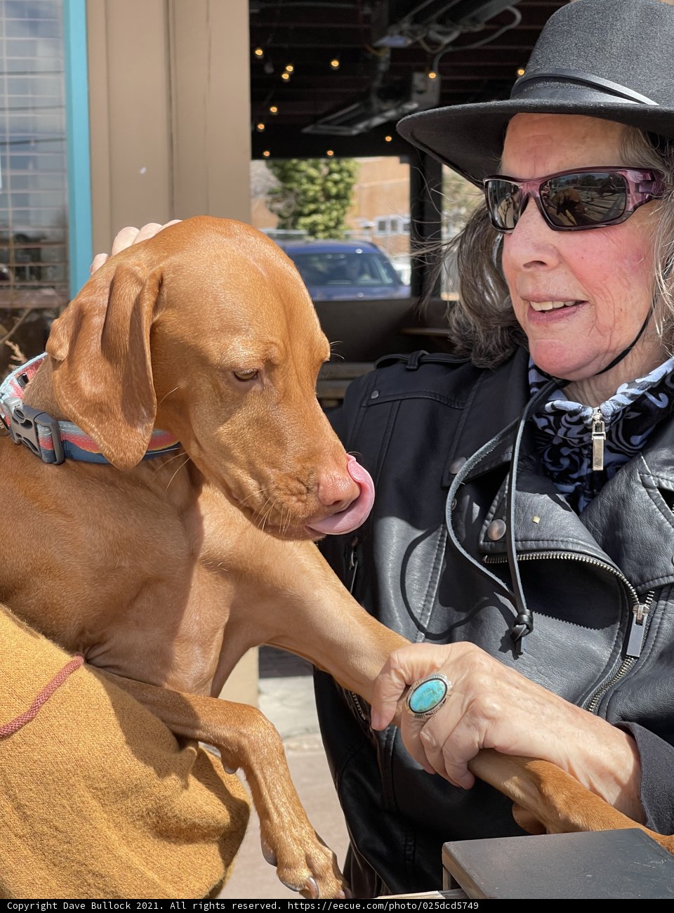 Black Hat Lady with Vizsla by the Car
