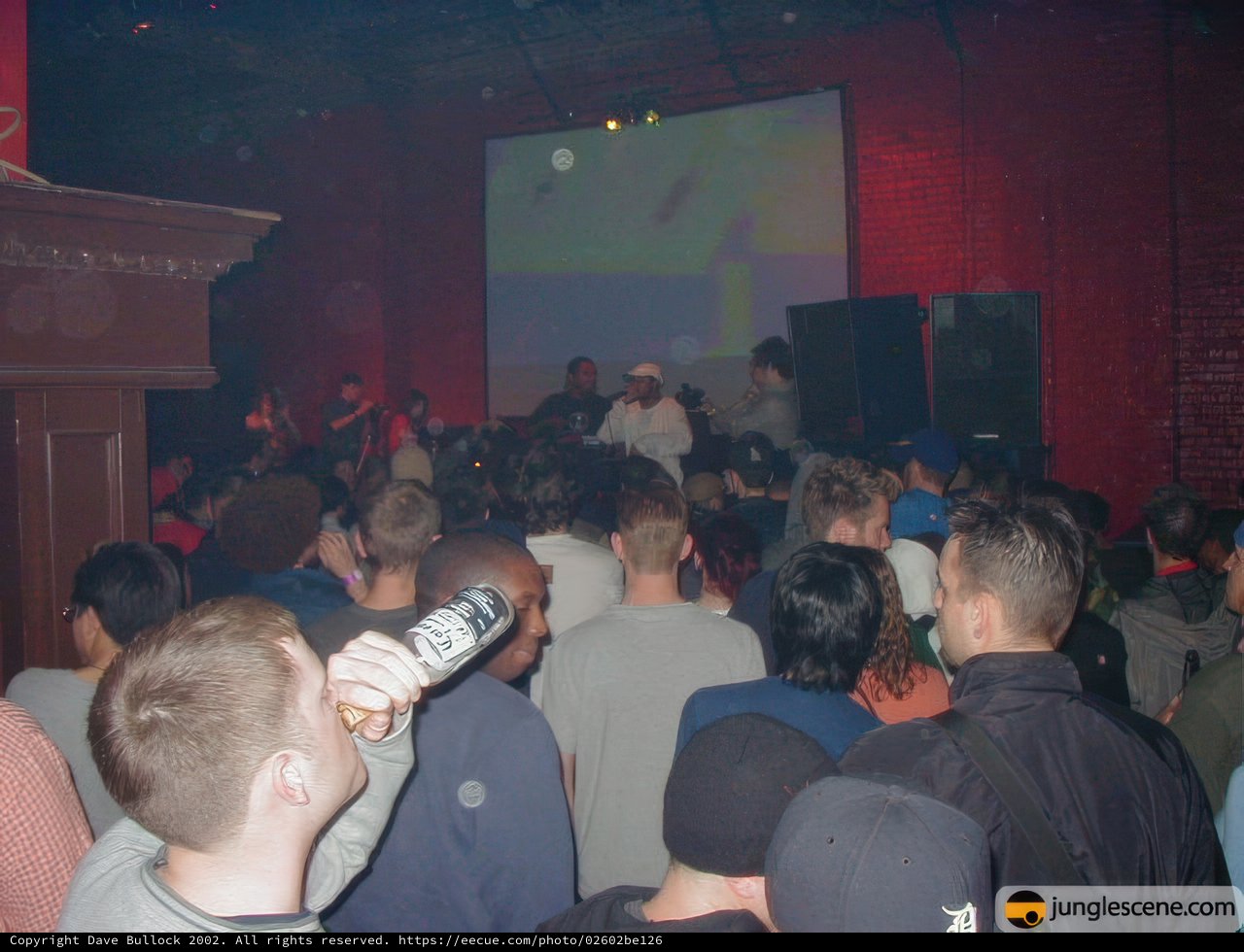 Partygoers Groove to the Beat