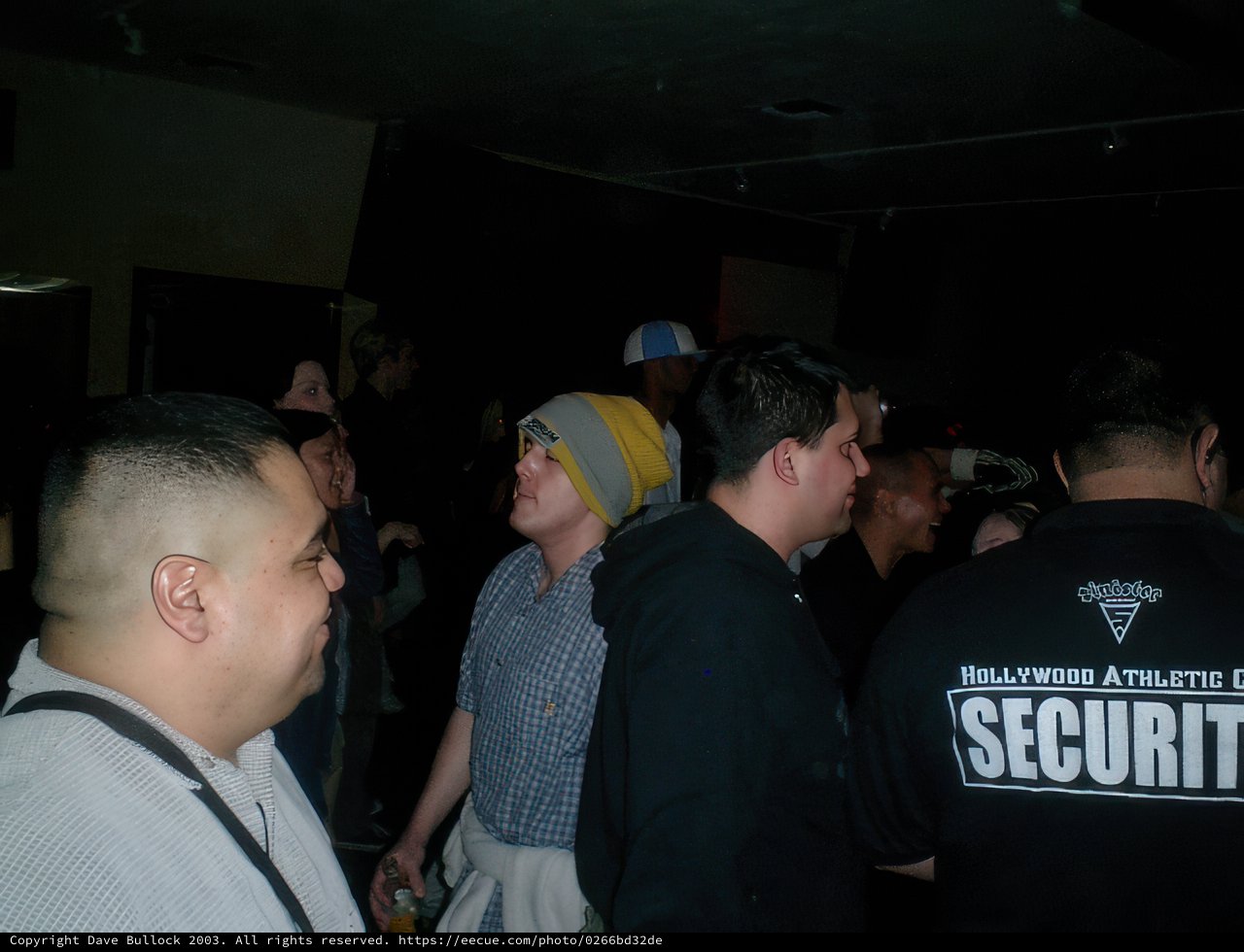 Nightlife Gathering