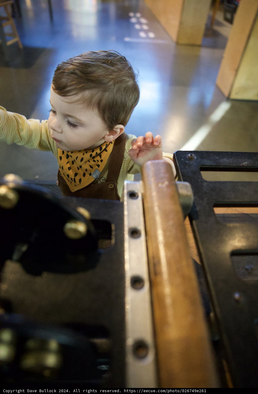 Curiosity and the Machine