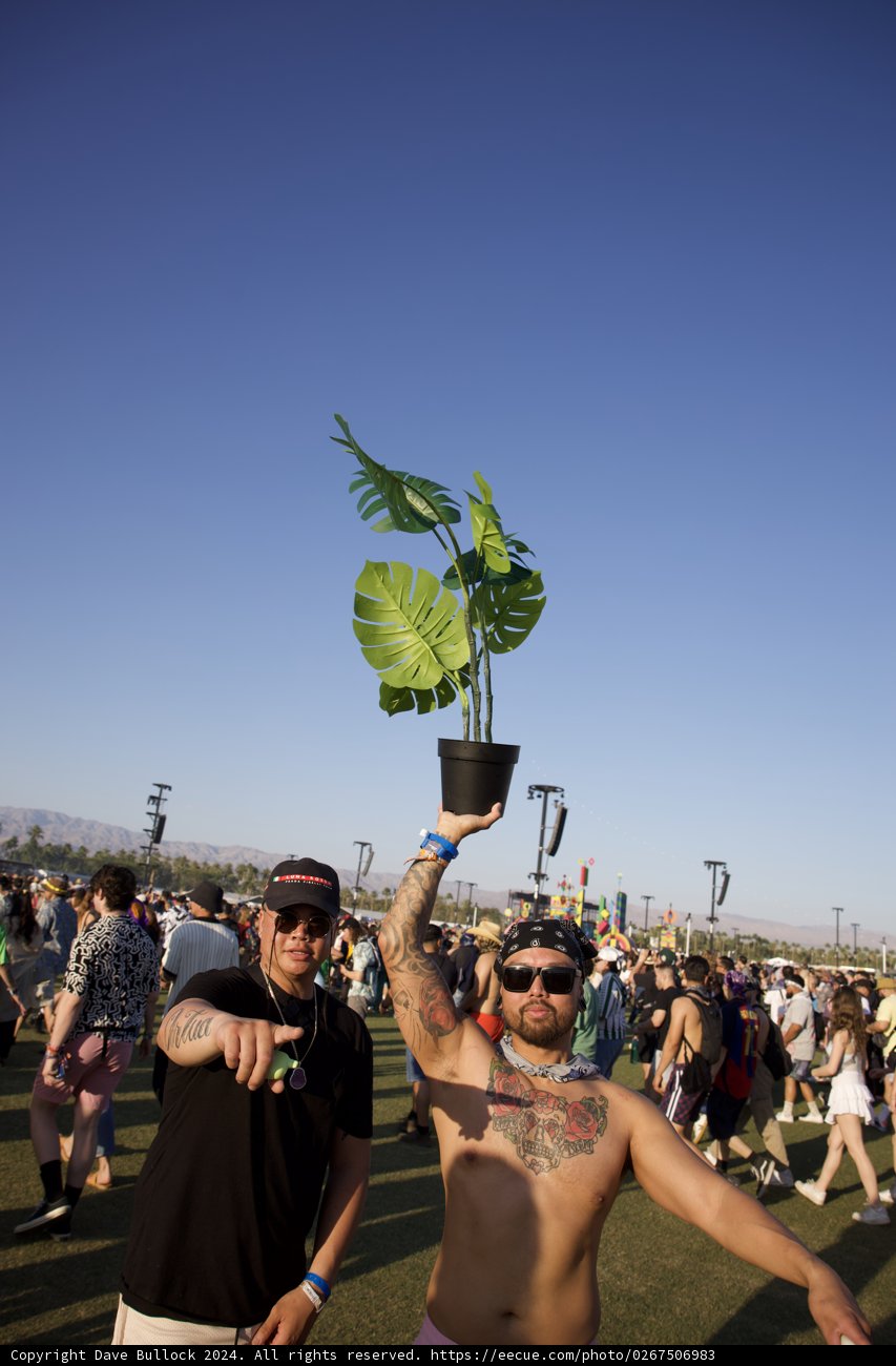 Green Vibes at Coachella 2024