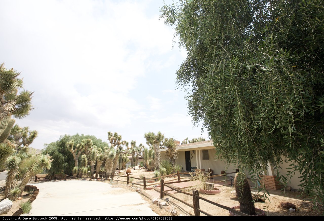 Summer Villa with Tree-lined Pathway