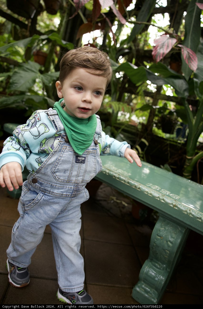 Step Up: Adventure at Golden Gate Park