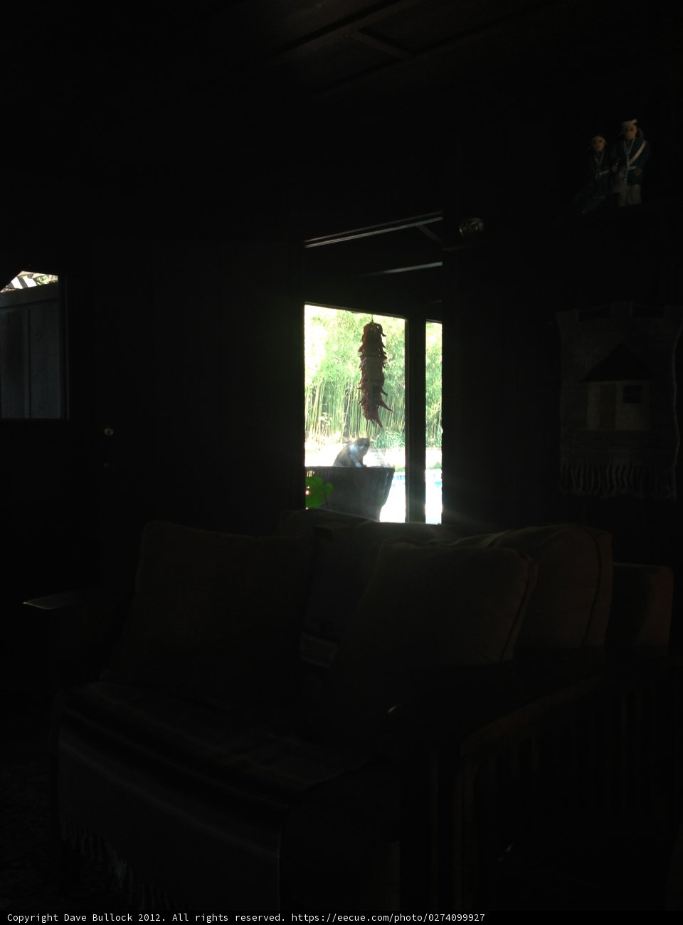 Cozy Dark Living Room with Window View