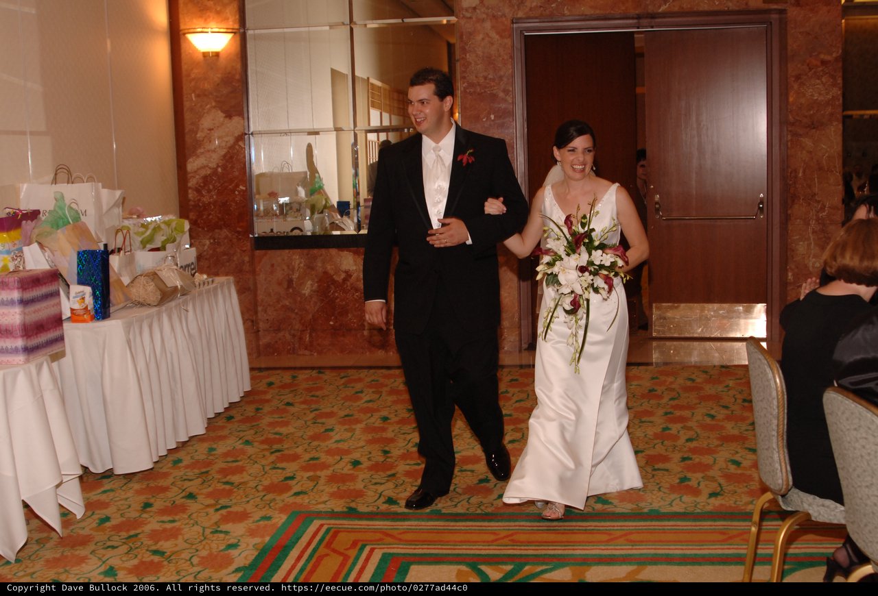 Newlyweds Make Their Grand Reception Entrance Together